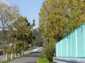 �����͎Ԃ̒ʂ�̏��Ȃ����H�ł��B